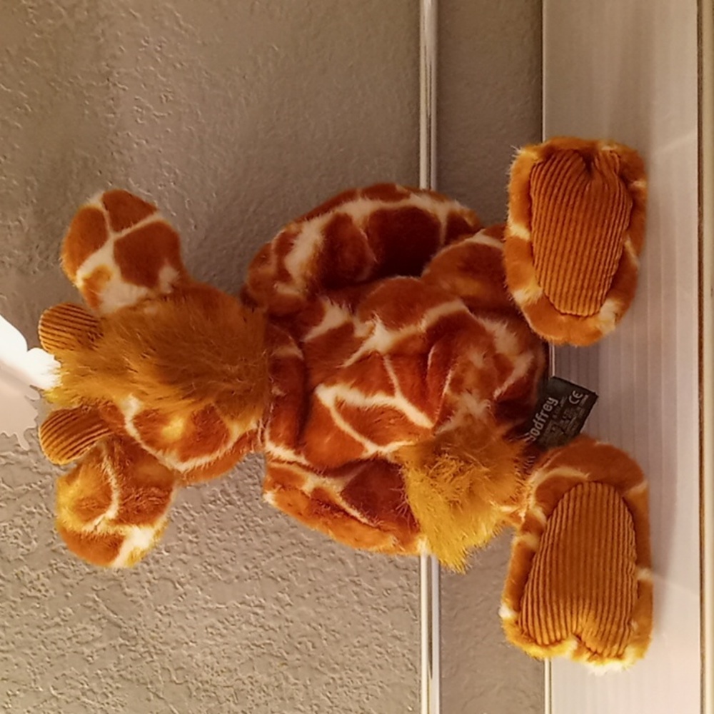 🦒Cute Giraffe - Picture 2 of 5